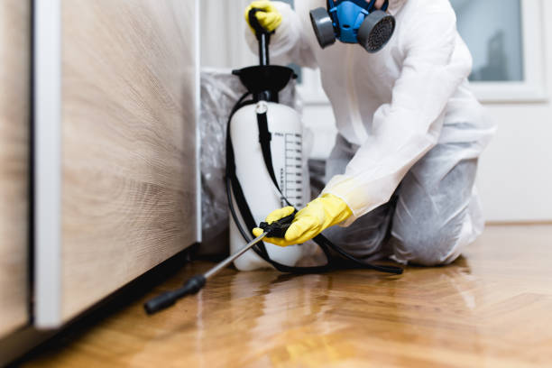 Best Residential Pest Control  in Pleasanton, KS