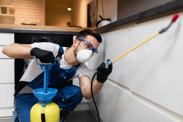 Best Flea Control Services  in Pleasanton, KS