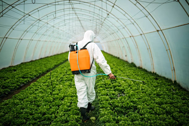 Best Local Pest Control Services  in Pleasanton, KS