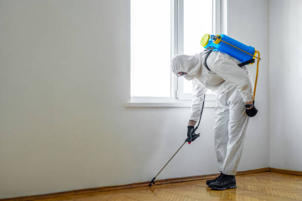 Professional Pest Control in Pleasanton, KS