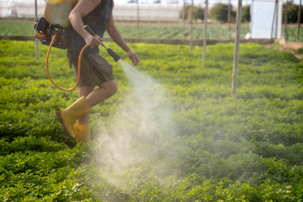 Best Best Pest Control Near Me  in Pleasanton, KS