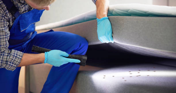Best Bed Bug Extermination  in Pleasanton, KS